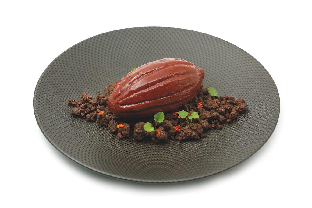 Serving Suggestions 6190096 bean of chocolate sfeer